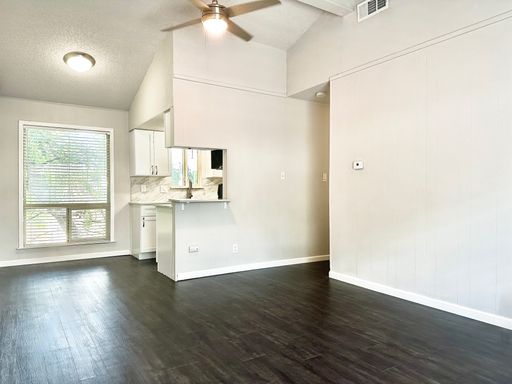 South Austin 2x1 by Zilker Park! – photo 1