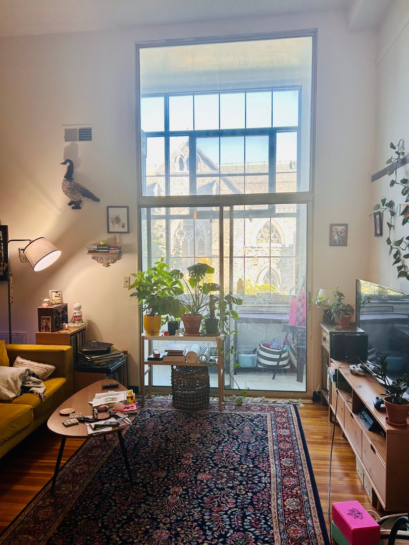 Troy Apartment: 212 3rd Street