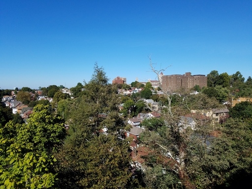 50 Academy Avenue - Unit B2, Pittsburgh, PA 15228