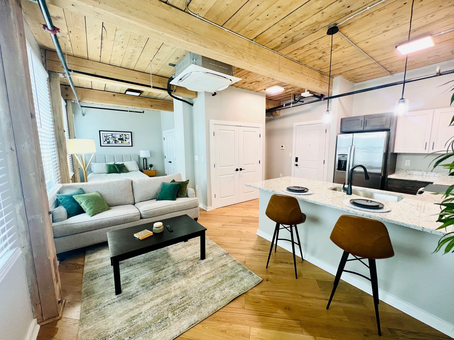 Worcester Apartment: 17 Hermon Street