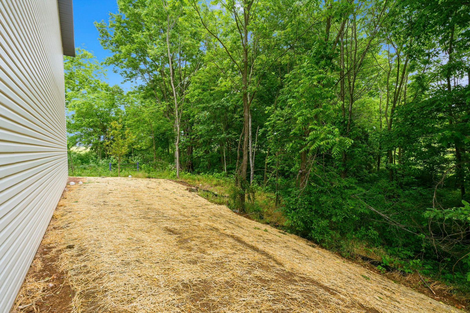 The Creekside at Finley 7 of 42