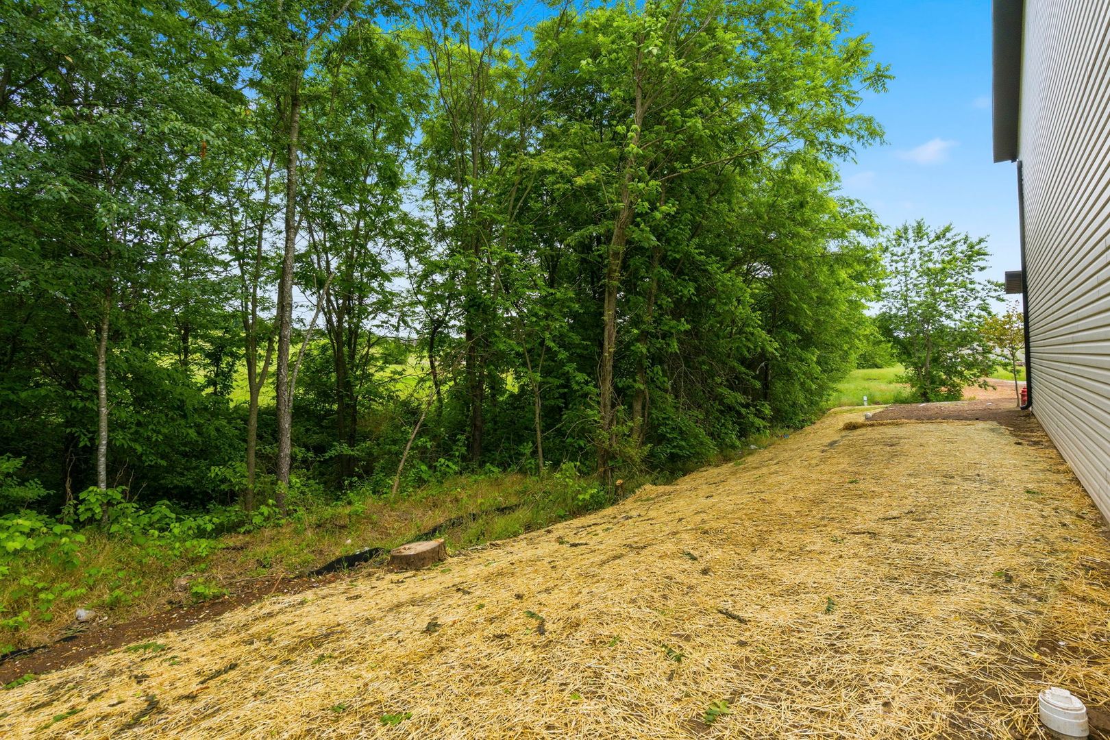 The Creekside at Finley 8 of 42