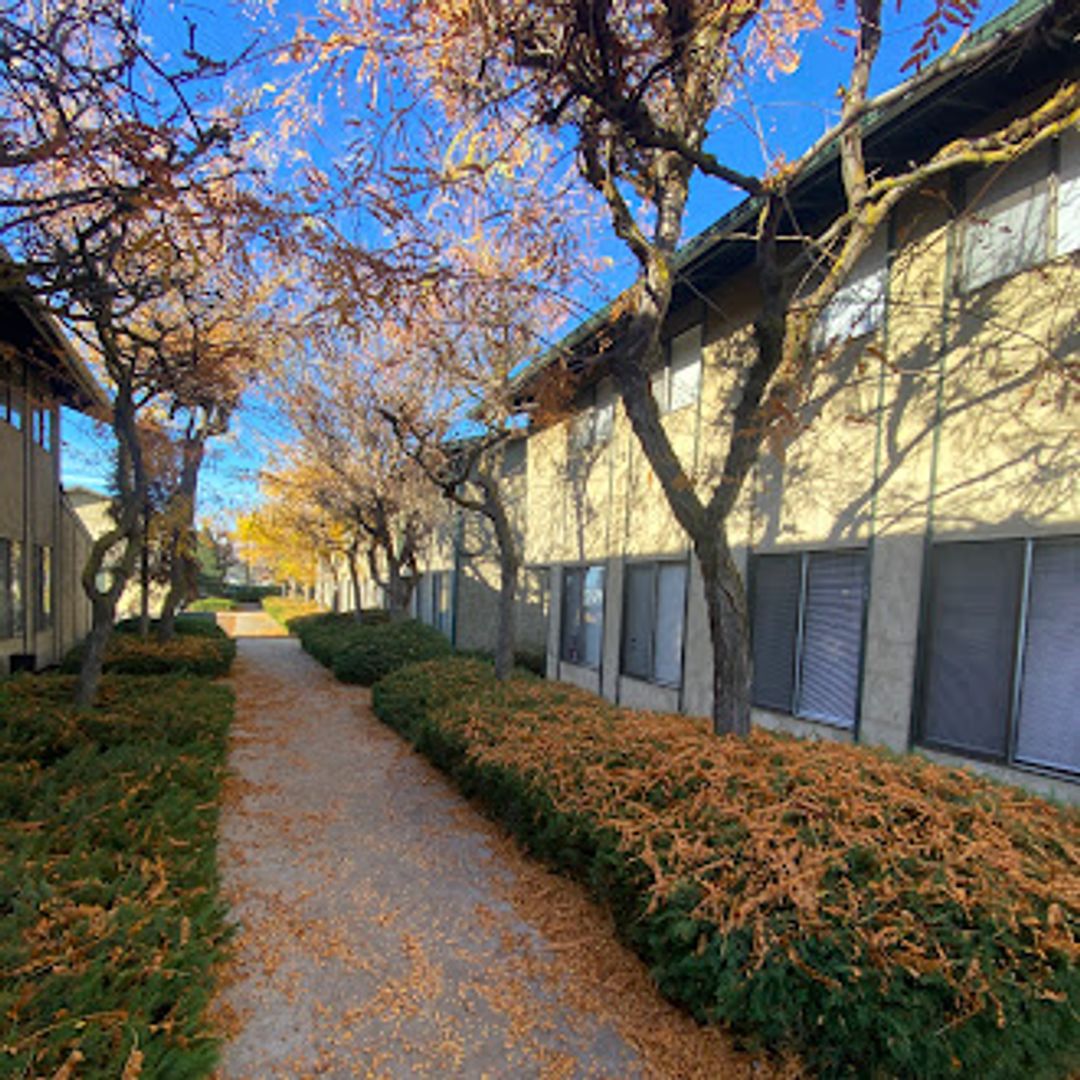 Yakima Apartment: 1012 Cornell Ave