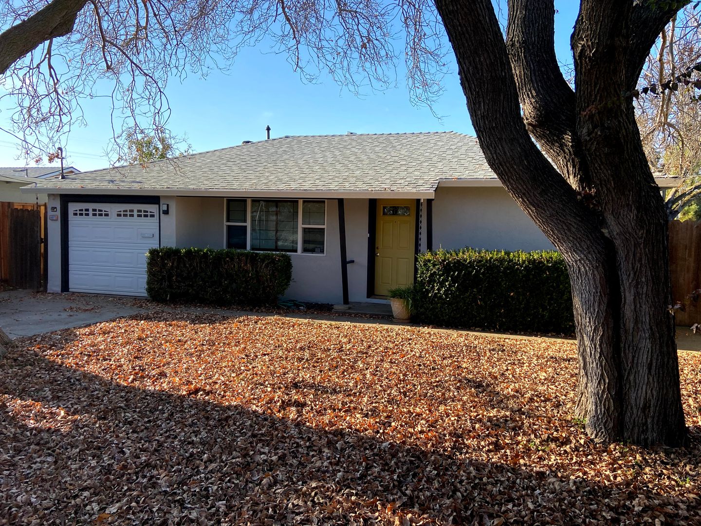 Fremont Apartment: 4817 Hansen Avenue