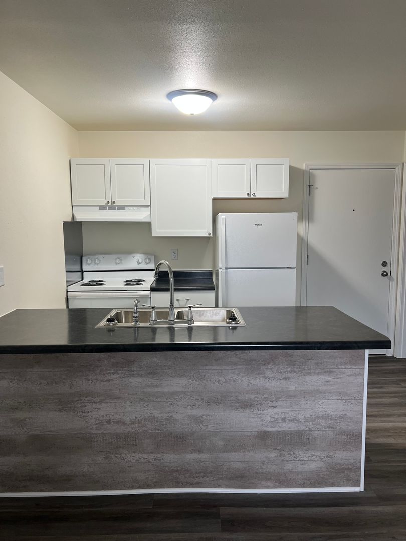 La Crosse Apartment: 316 Monitor Street