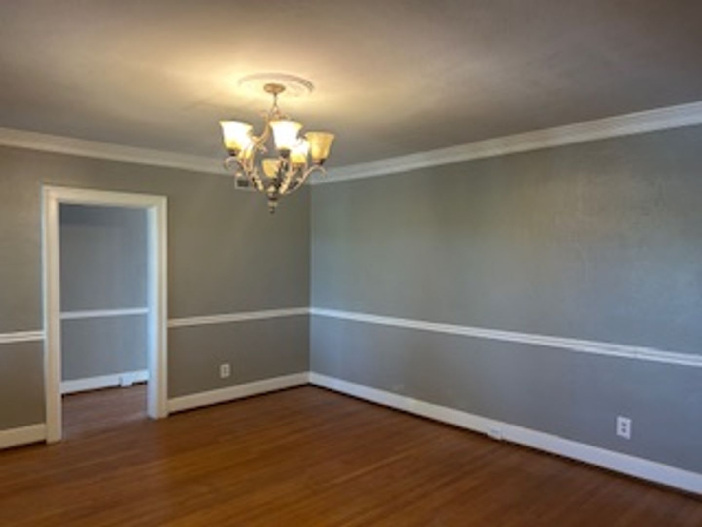 Radford Apartment: 1301 Pickett Street