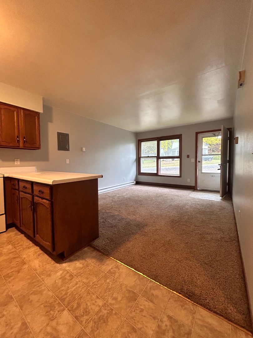 Hixton Apartment: 163 E Main St