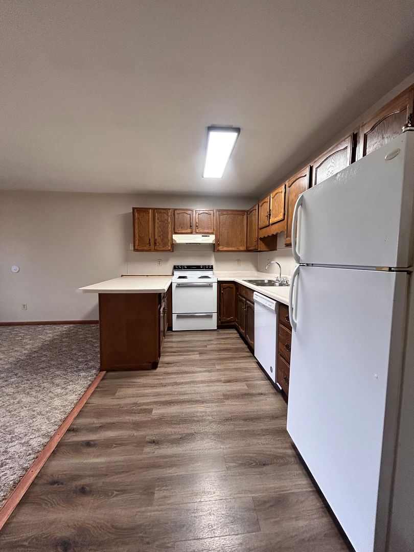 Elk Mound Apartment: 220 S Holly Ave