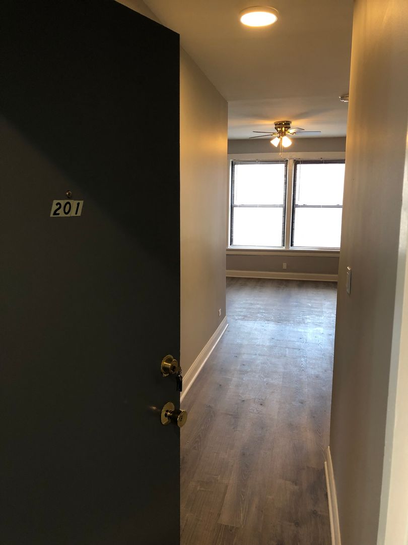 Chicago Apartment: 7046 S. Crandon Ave