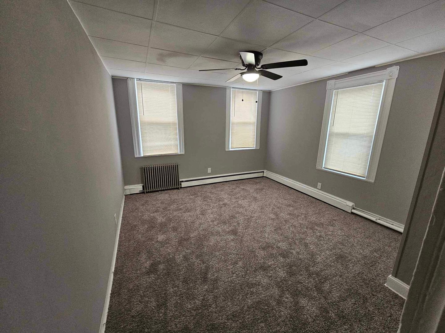 Baltimore Apartment: 276 S Loudon Ave