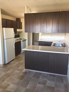Move in special- FIRST MONTH FREE RENT! Spacious One Bed Apartment $1,325/Mo.