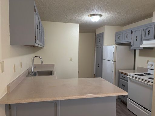 1 Bed 1 Bath Rental at 7607 44th St W #03, University Place, WA – photo 1