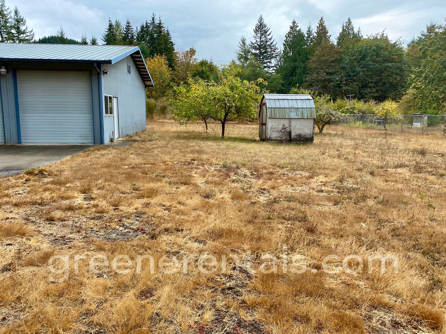 3936 Offut Lake Rd, Tenino, WA 98589