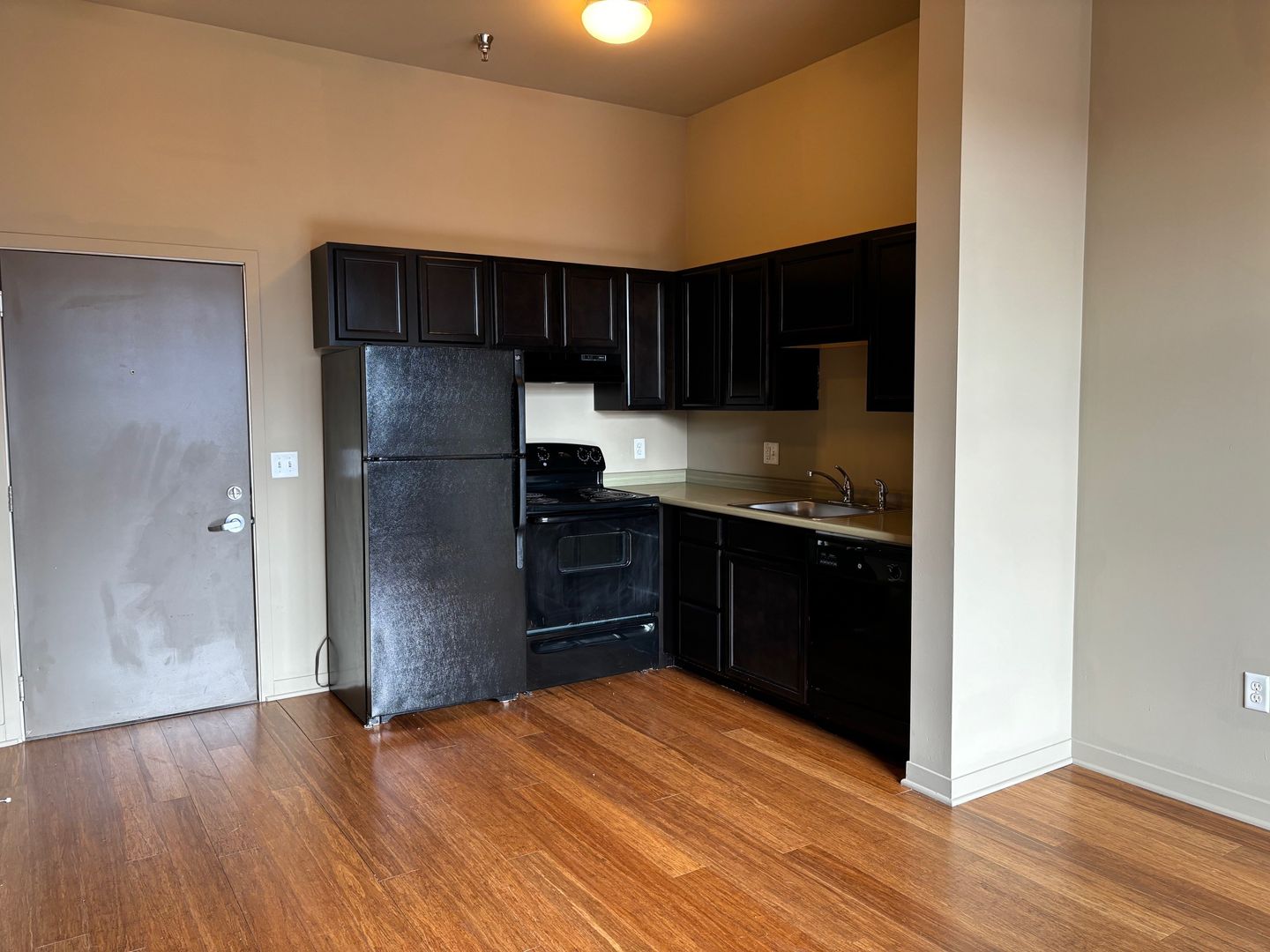 Grand Rapids Apartment: 100 Commerce Ave SW