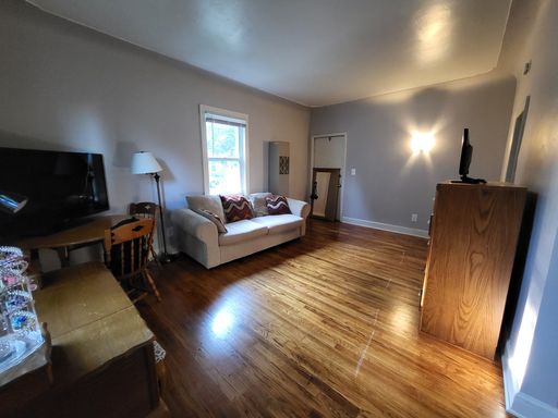 Updated 1 bed/1 bath apartment. Close to John Ball Zoo, Downtown GR and GVSU downtown campus! – photo 1