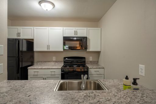 Completely Remodeled Large One-Bedroom at Pinery Woods!