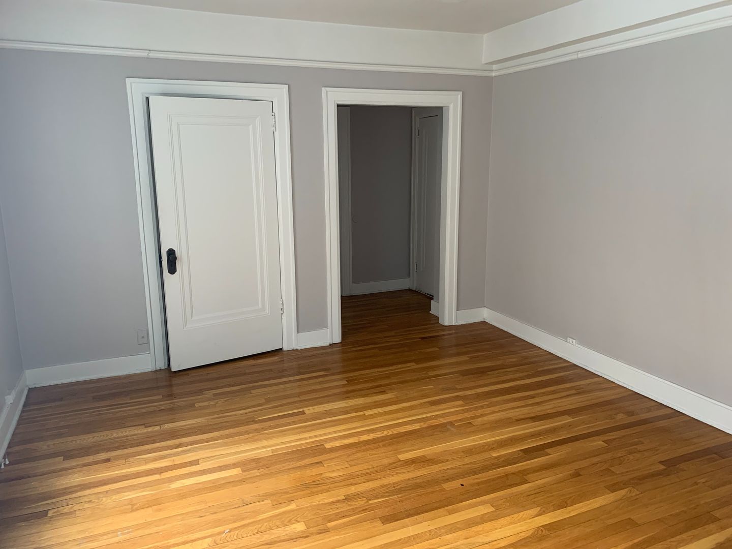 Grand Rapids Apartment: 547 Cherry St SE