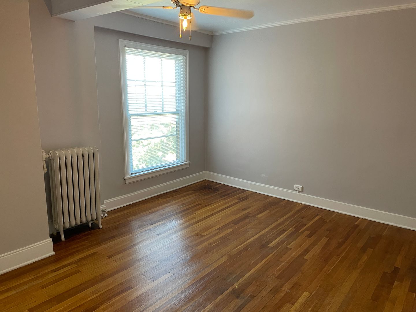 Grand Rapids Apartment: 547 Cherry St SE