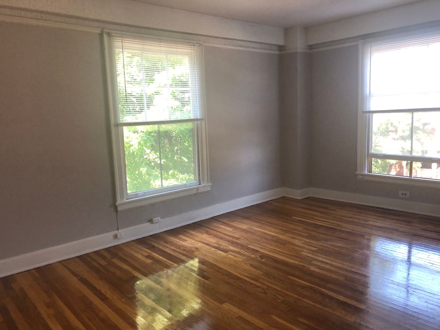 Grand Rapids Apartment: 547 Cherry St SE