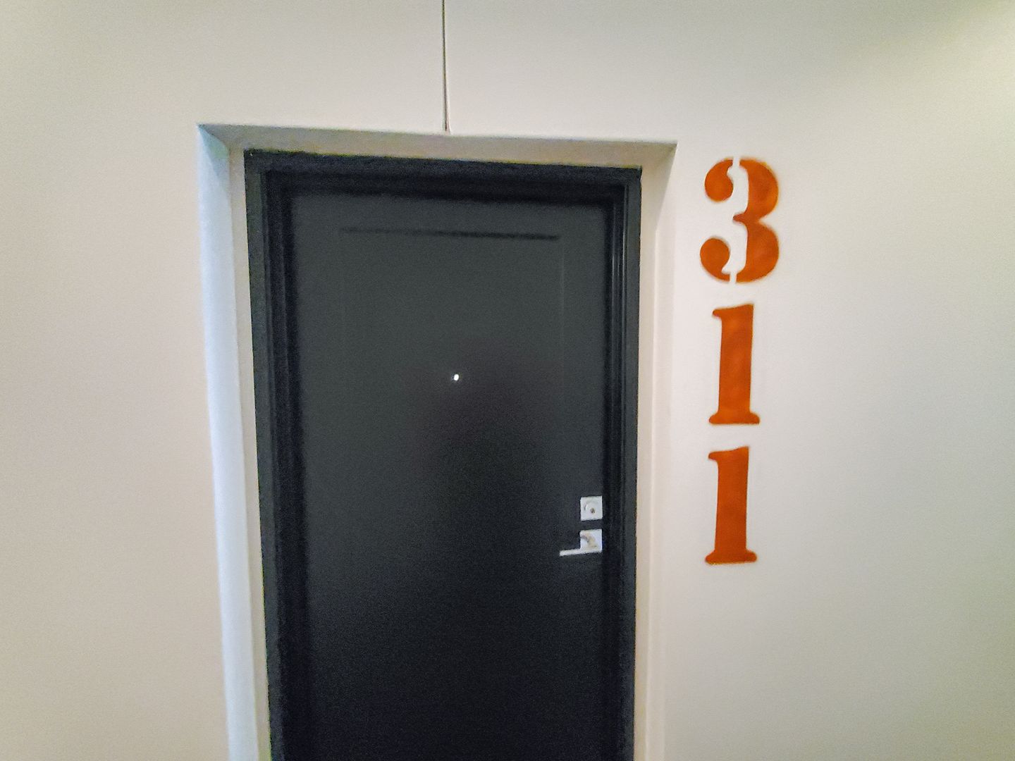 Omaha Apartment: 1311 S 9th St