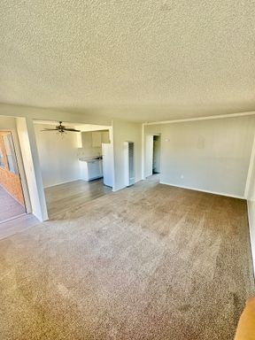 Beautiful 1 Bed 1 Bath with Large Wardrobe Closet!!! – photo 1