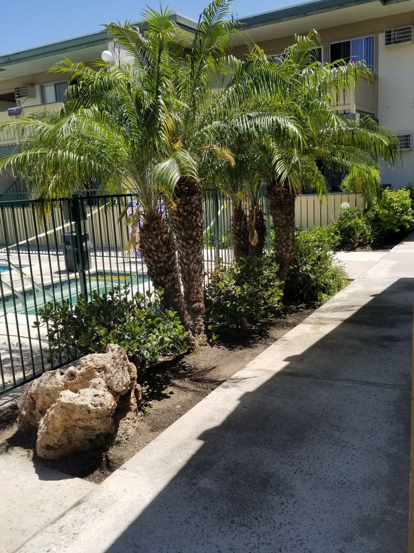 Santa Ana Apartment: 1950 E. Santa Clara Ave