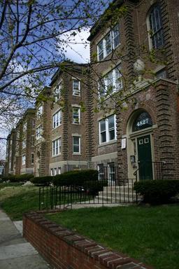 One Bedroom on Pine Available in Sept! – photo 1
