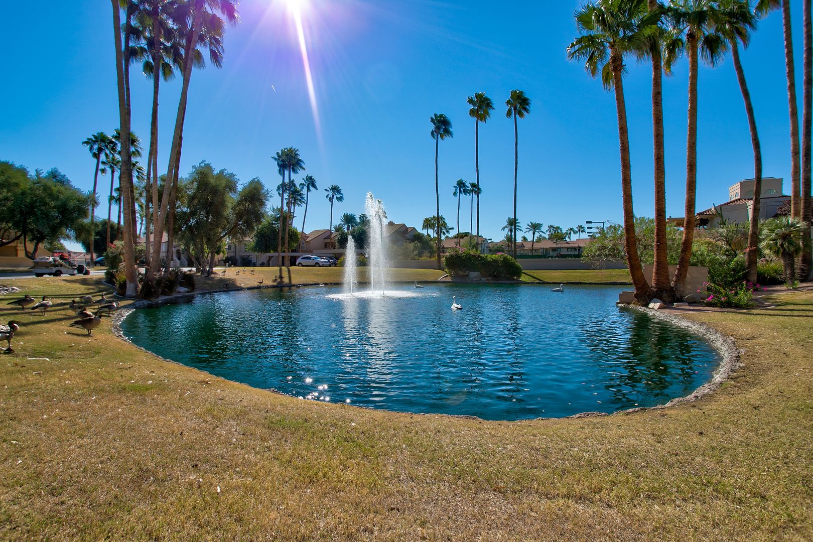 Scottsdale House: 9707 E Mountain View Road