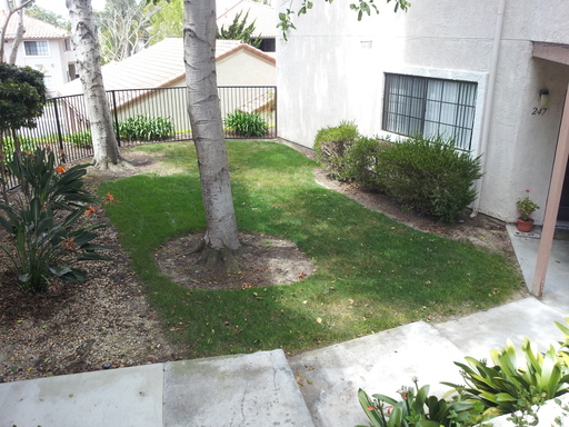 Listing photo thumbnail