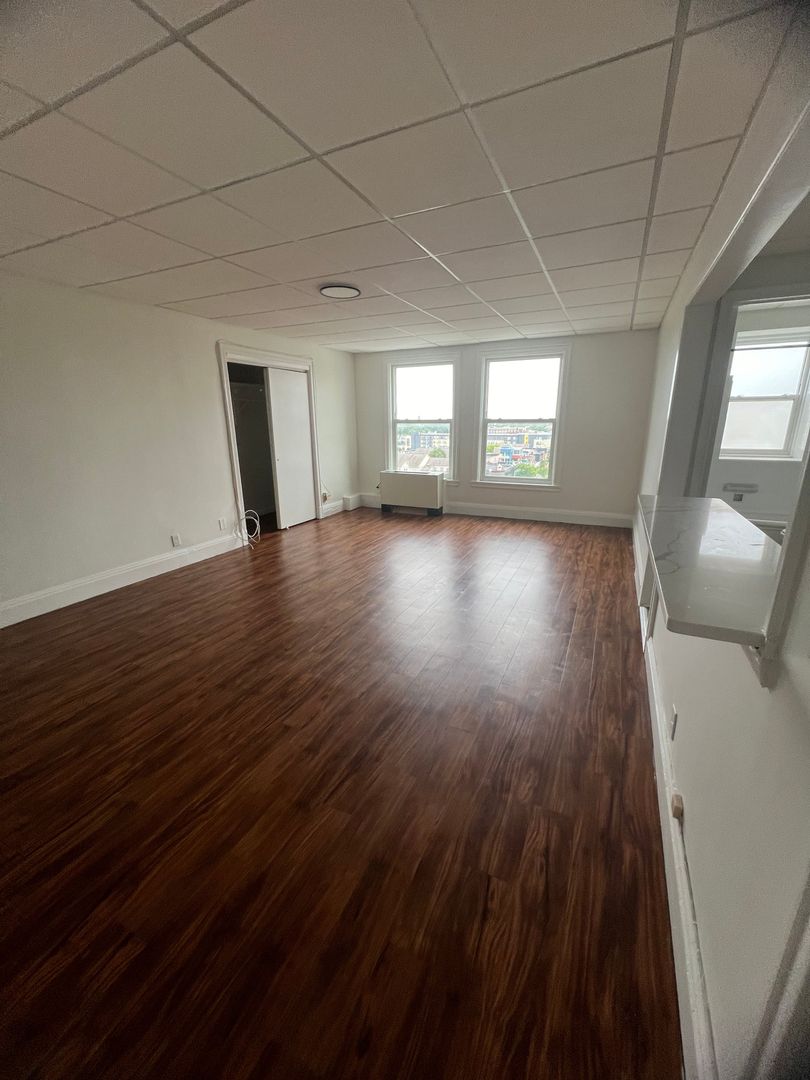 Rochester Apartment: 111 East Ave