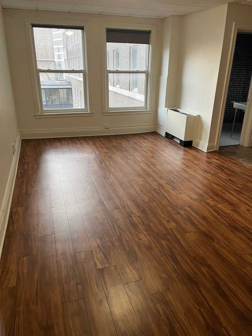 Rochester Apartment: 111 East Ave