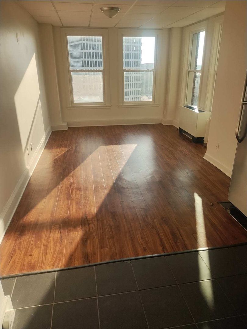 Rochester Apartment: 111 East Ave