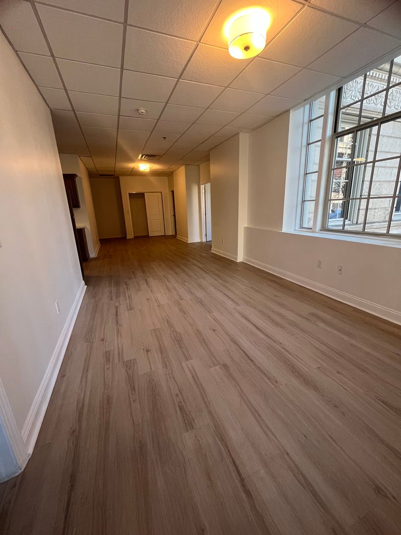 Rochester Apartment: 111 East Ave