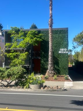 Charming Newly Renovated 2 Bed / 1 Bath Apartment in Prime Berkeley Location – photo 1