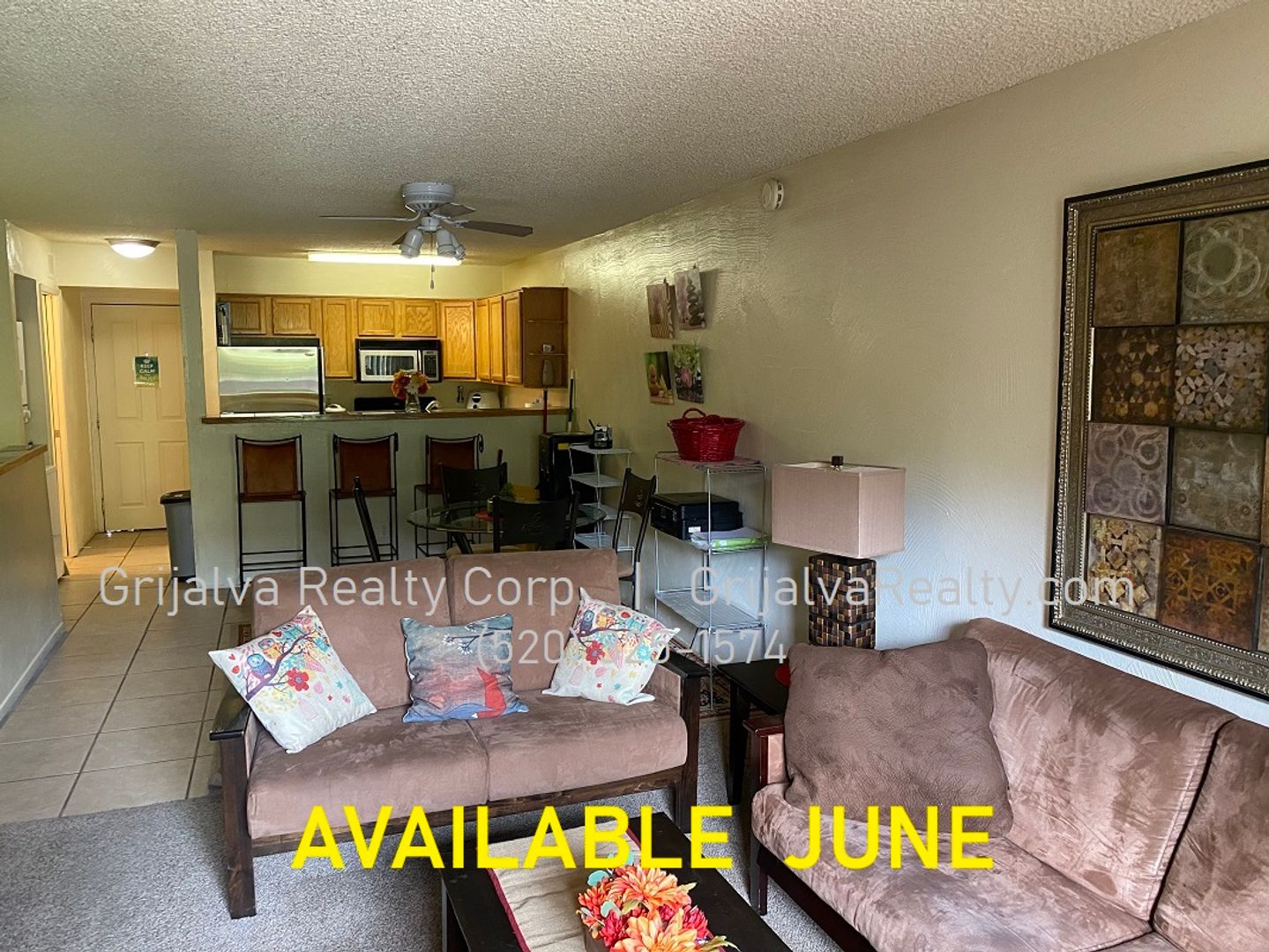 Tucson Condo: 931 N Euclid Ave #122