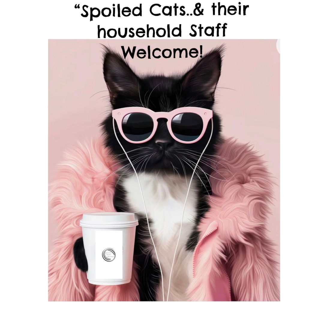 Tucson Apartment: 737 N. Alvernon Way