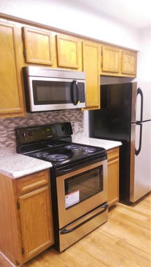 Newly remodeled 1BR apartment 1 block from the University Of Texas – photo 1