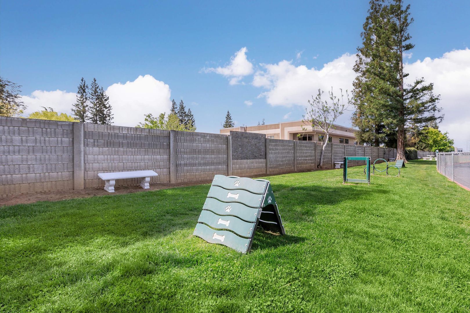 Dog park at Summer Place
