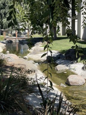 Upgraded 2 Bedroom 2 Bathroom With Great View! – photo 1