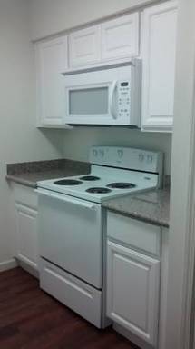 Granite Counters, Plank Flooring, Dual-Pane Windows – photo 1