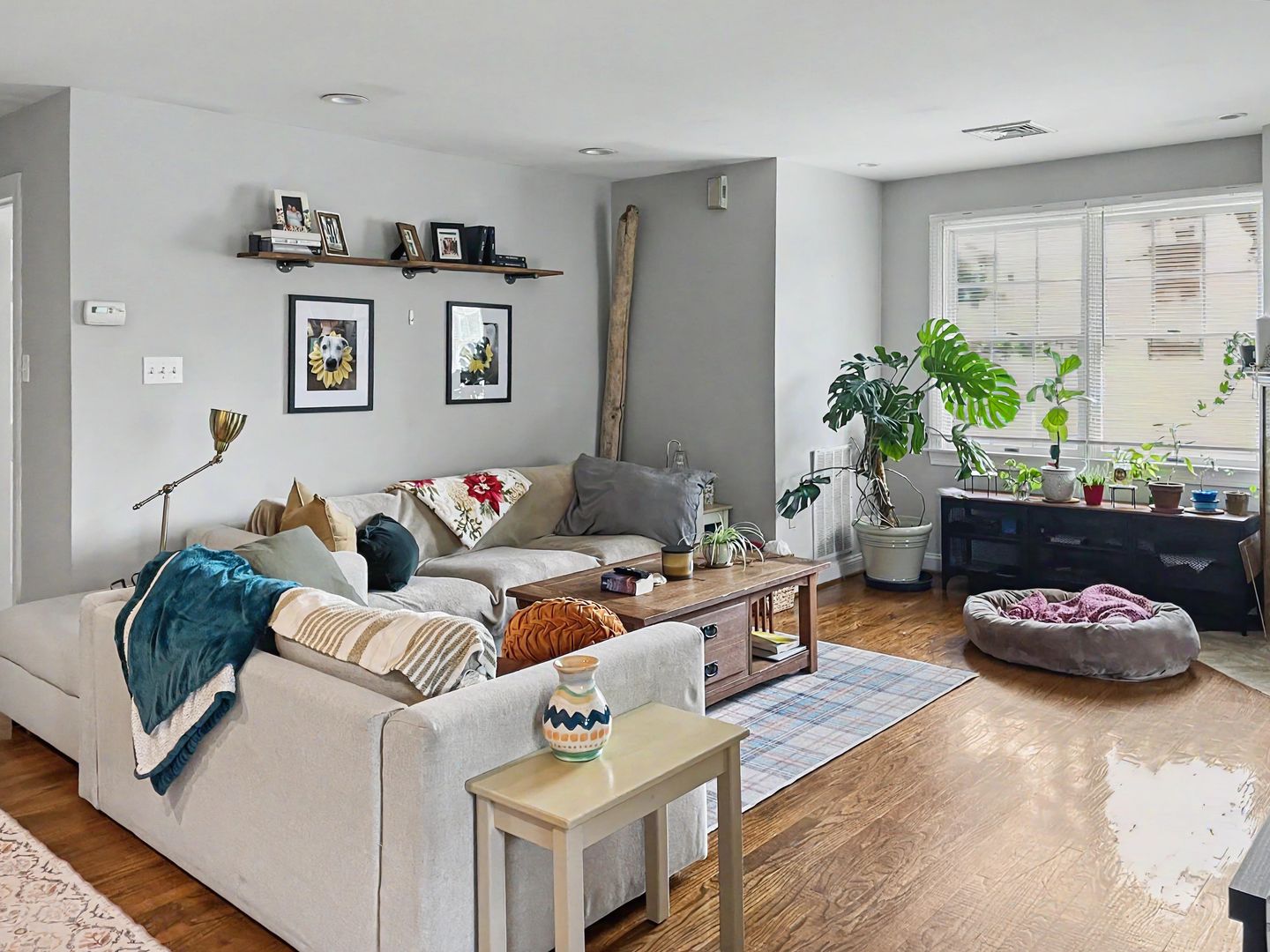 Wayne Apartment: 300 N Wayne Ave
