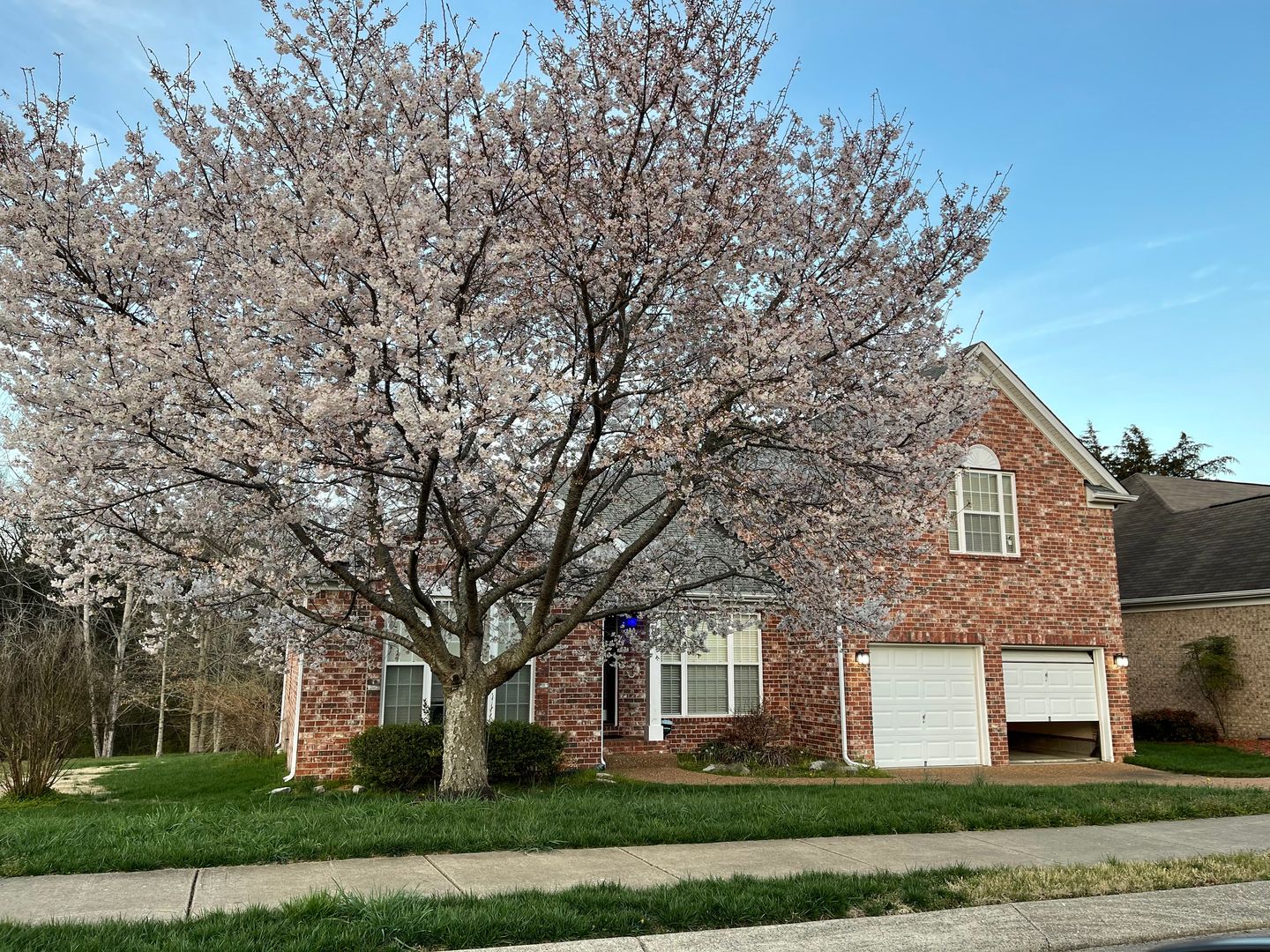 Mt. Juliet House: 245 Cobblestone Landing