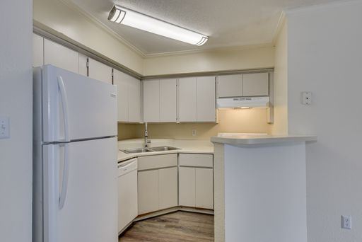 1219 Champions Pines Lane – photo 1