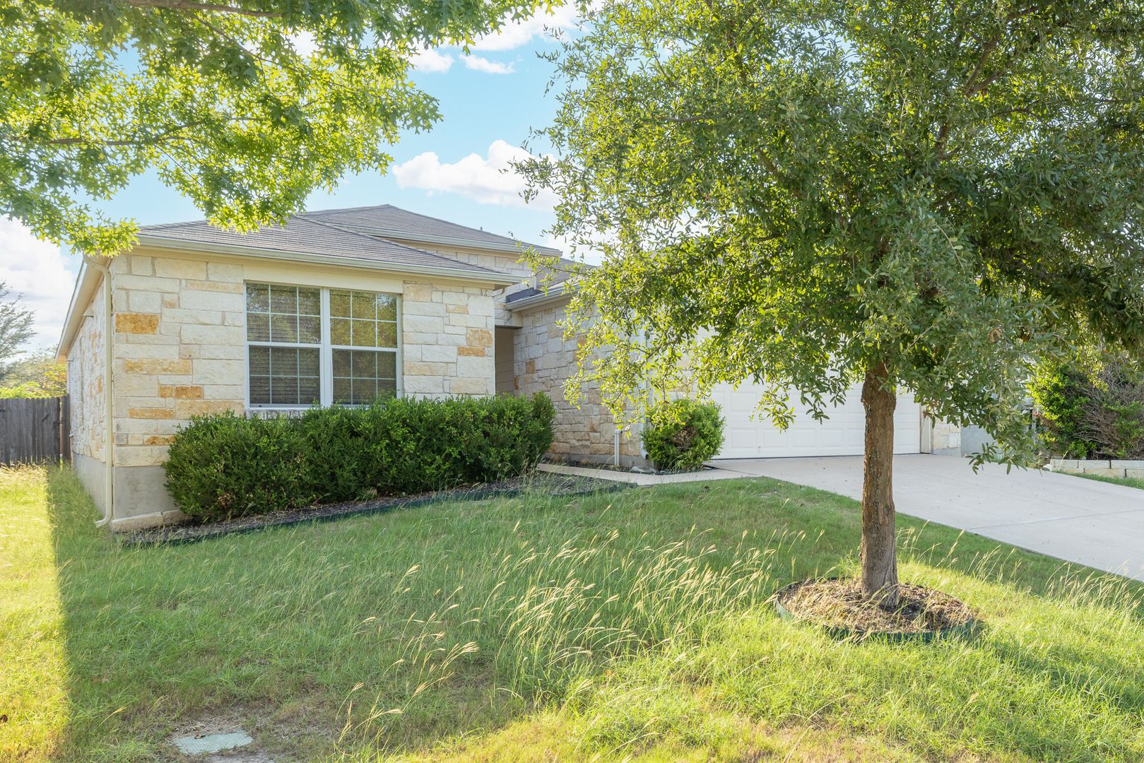 Leander House: 205 Lark Street