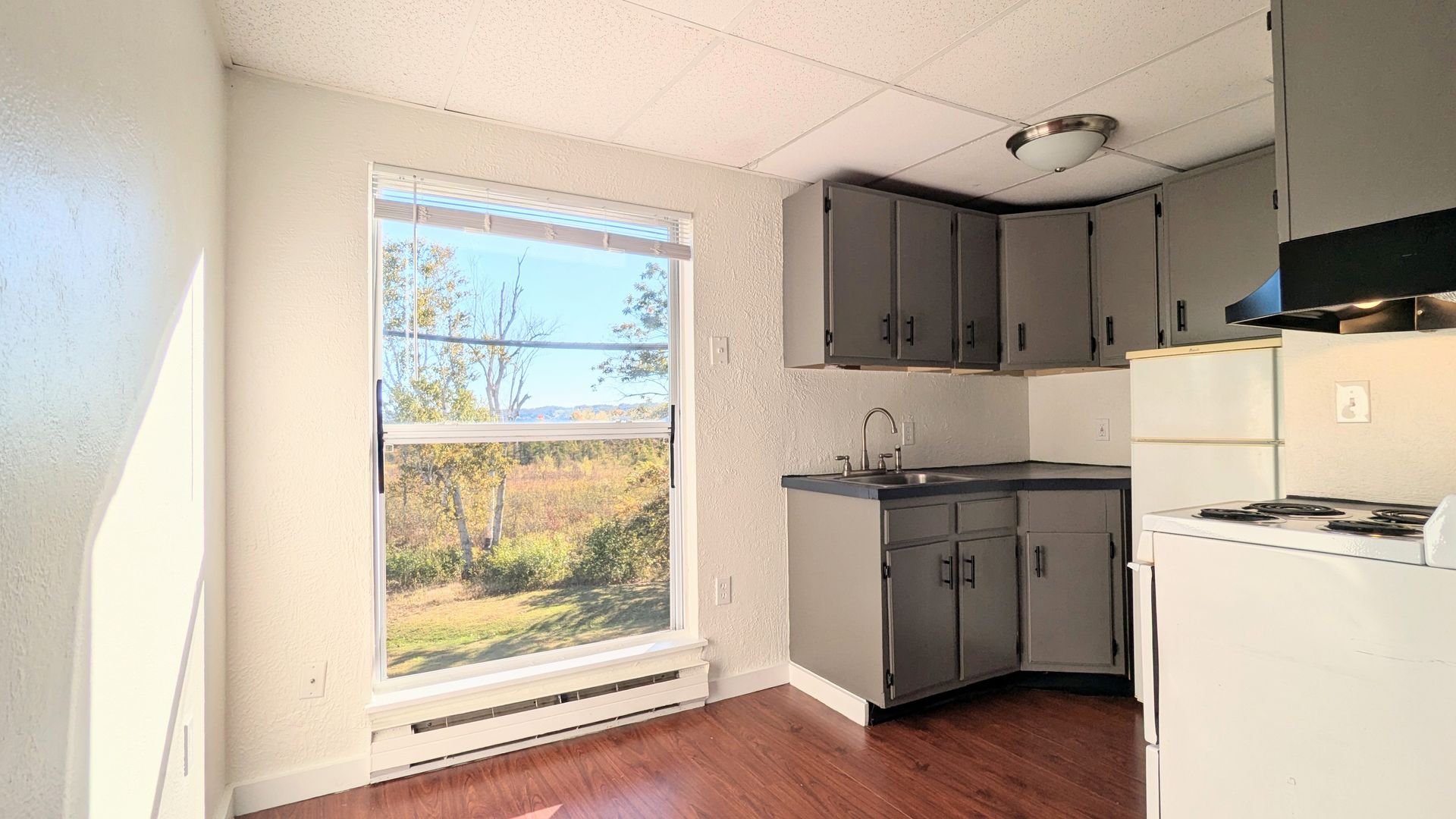 Belgrade Apartment: 1190 Augusta Rd