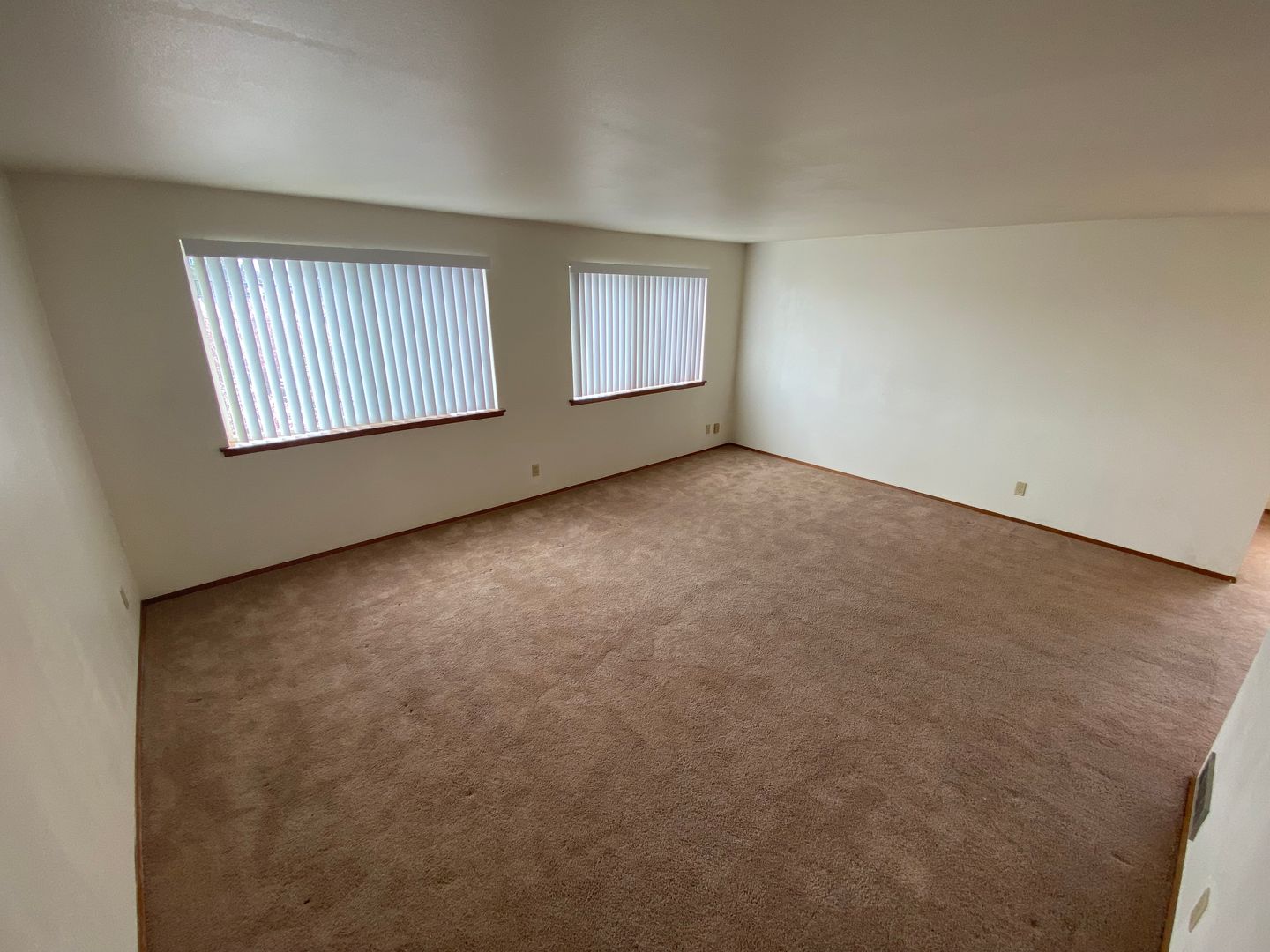 Seattle Apartment: 9403 Linden Ave N