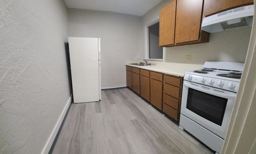 Bright 1-Bedroom Retreat with Modern Updates and Abundant Natural Light – photo 1