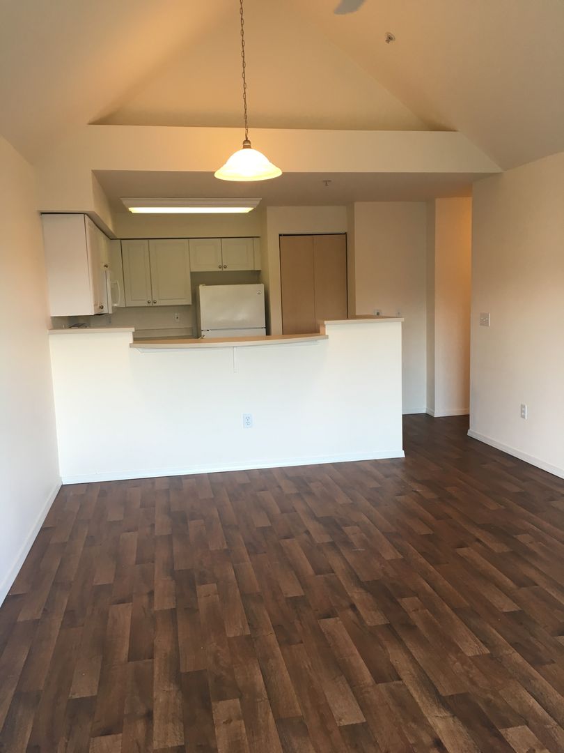 Seattle Apartment: 1307 N 43rd St