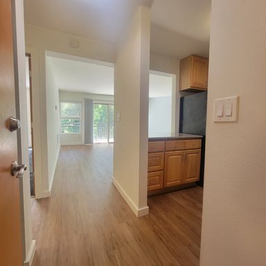 One Month Free! 1-Bedroom Oasis in Serene Wooded Community – photo 1
