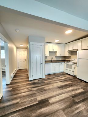 Kent's Best: Newly Renovated 2-Bedroom Apartment with Top Amenities – photo 1
